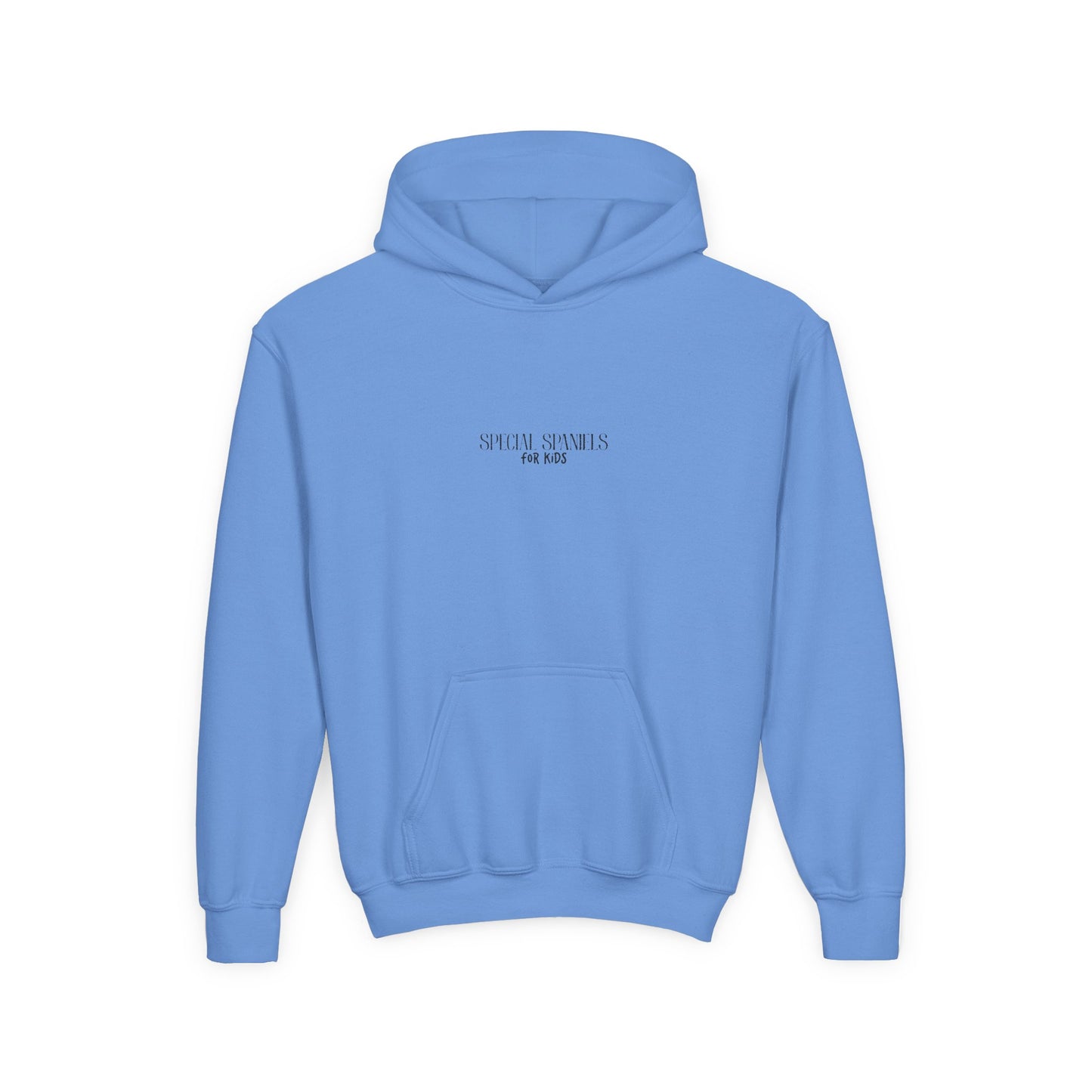 Youth Hooded Sweatshirt