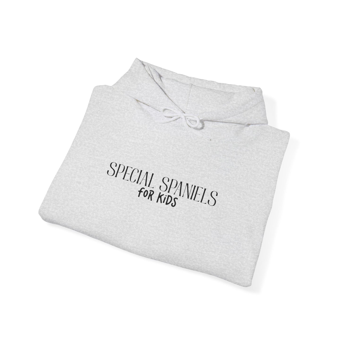 Hooded Sweatshirt (Black Embroidery)