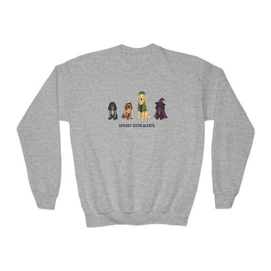 Youth "Spooky Good Alerts" Sweatshirt