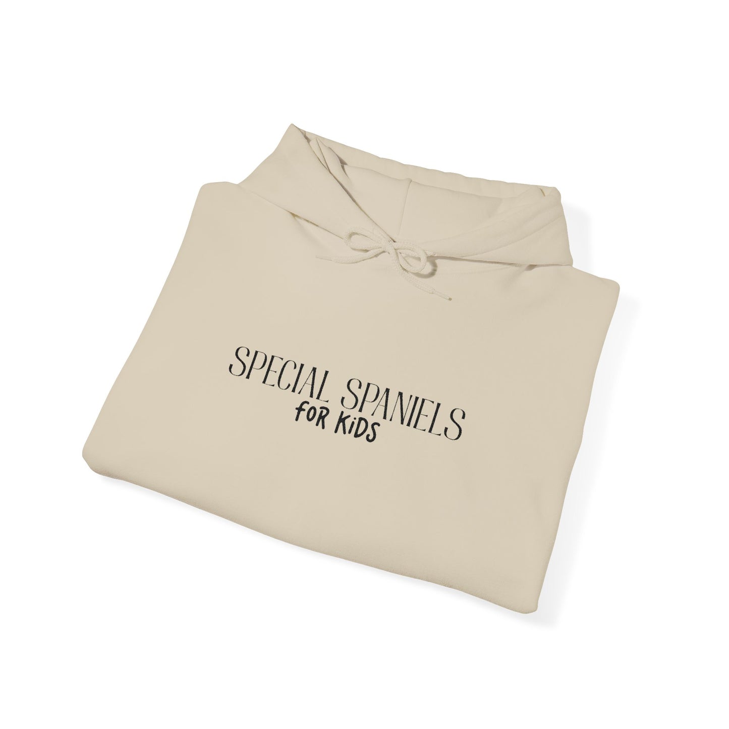 Hooded Sweatshirt (Black Embroidery)